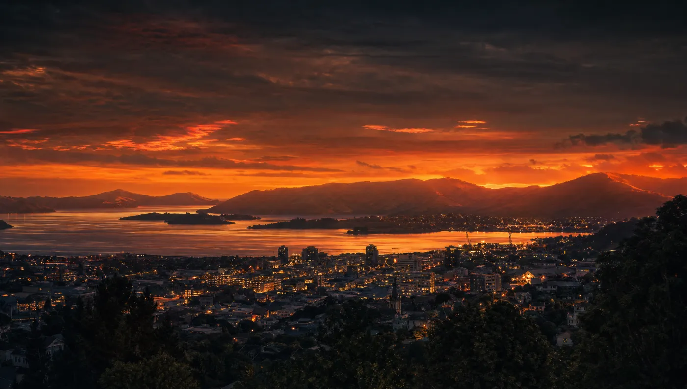 Dunedin skyline — Ential AI